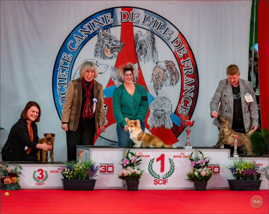 PDS  🇫🇷  Paris Dog Show  🇫🇷  Expo canine  10-11/01/2026. Photographe à Strasbourg | Portraits, Studio, Enfants, Événements