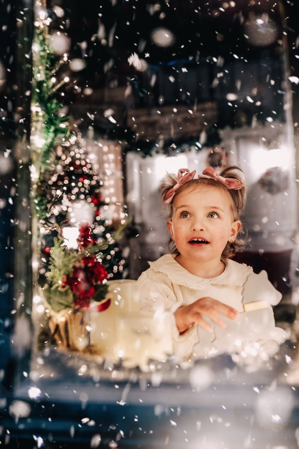 NOVOGODIŠNJA FOTOGRAFISANJA. Fotografi iz Backog Petrovca David i Andrea Stojanovic