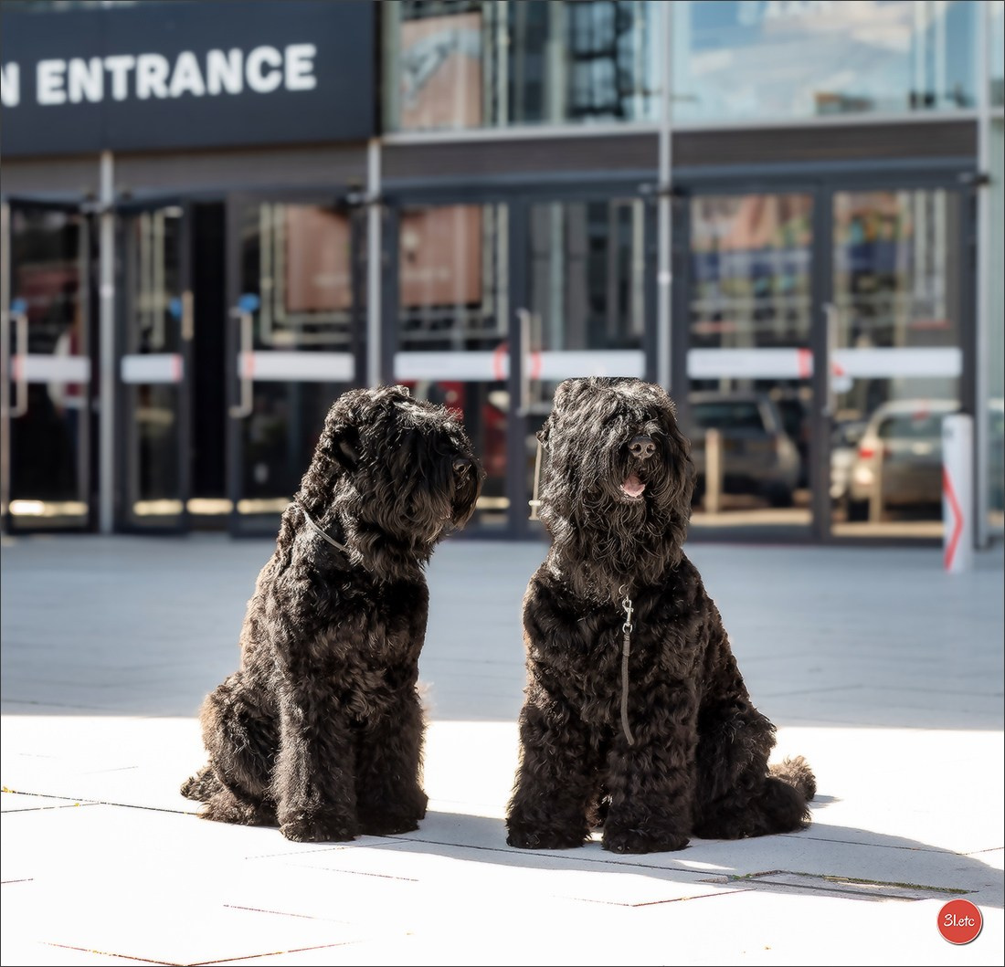 🇳🇱 IDS Maastricht 27/28 Sept 2025 🇳🇱. Photographe à Strasbourg | Portraits, Studio, Enfants, Événements