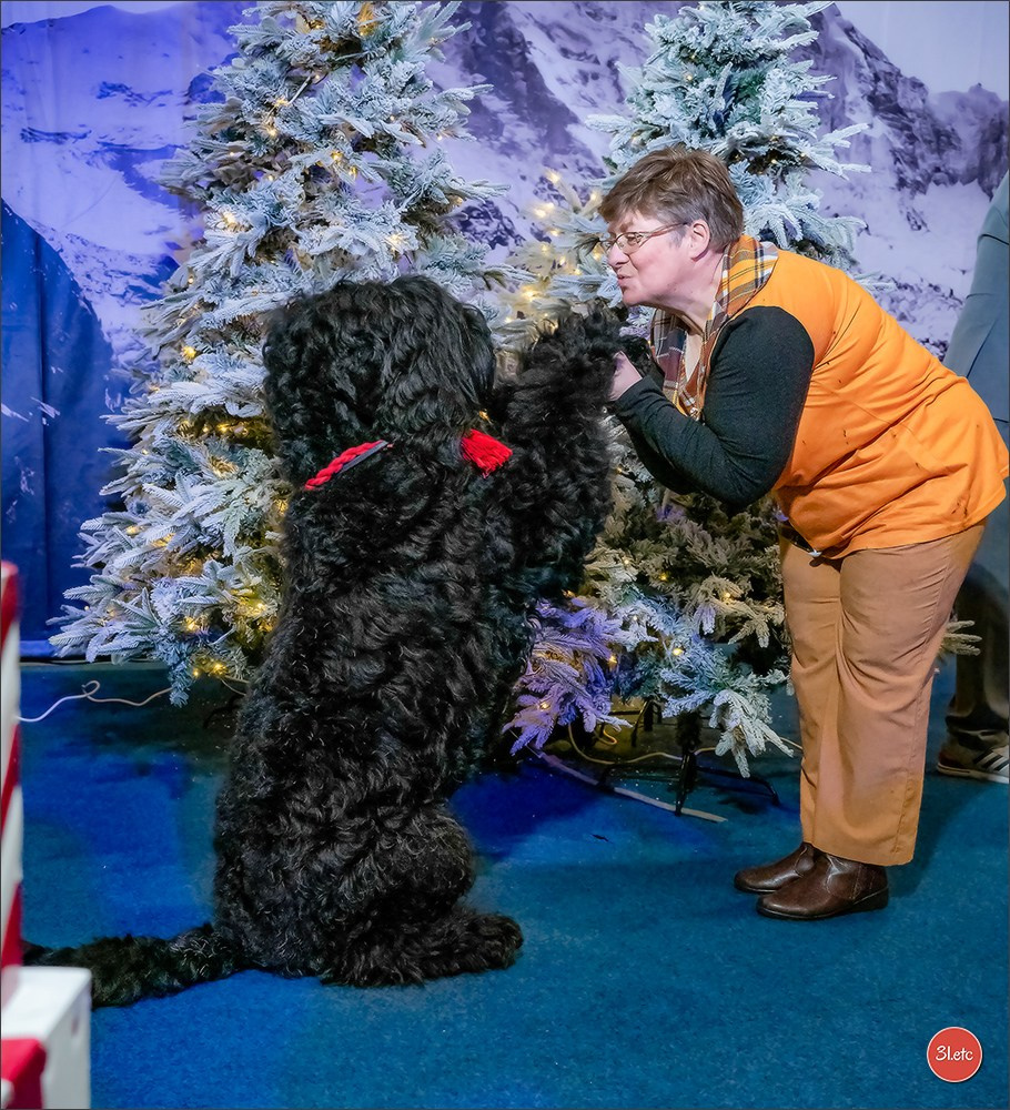 13-14.12.2025   🇧🇪   Brussels Dog Show. Photographe à Strasbourg | Portraits, Studio, Enfants, Événements