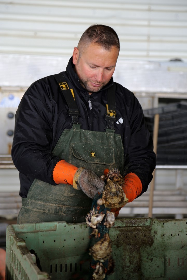 Huîtres. Natalia Bogdanovska. Films et photographie corporate en France