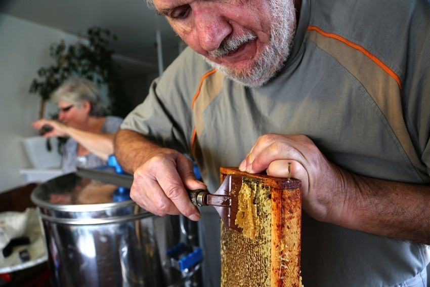 Les abeilles de Paris. Natalia Bogdanovska. Films et photographie corporate en France