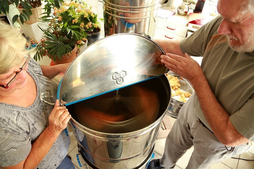 Les abeilles de Paris. Natalia Bogdanovska. Films et photographie corporate en France