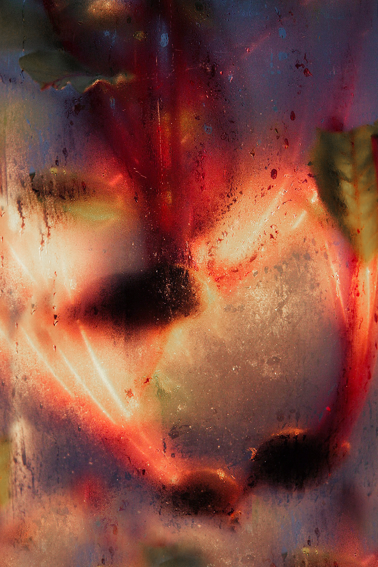 NATURE MORTE et VIVANTE. Natalia Bogdanovska. Films et photographie corporate en France