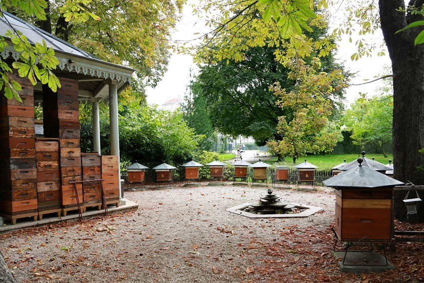 Les abeilles de Paris. Natalia Bogdanovska. Films et photographie corporate en France