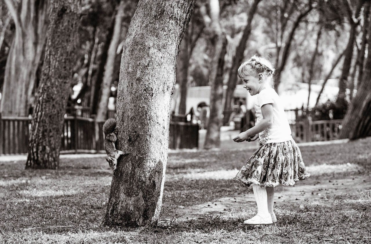 Magic moments. Alba del Norte Studio