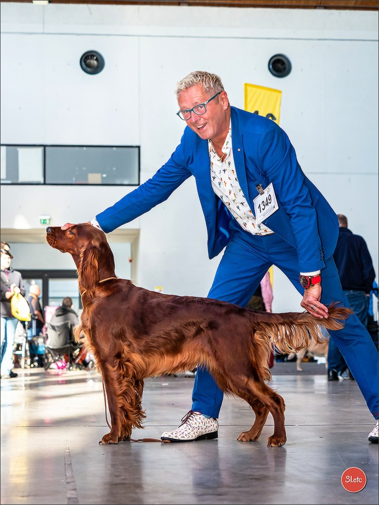 Exposition Canine à Karlsruhe 28-29/09/2024. Photographe à Strasbourg | Portraits, Studio, Enfants, Événements