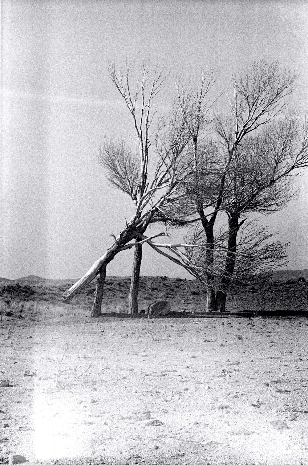 Personal Photography. Arman Milani, Brand-Focused Video Production & Content Creation, Based in Berlin