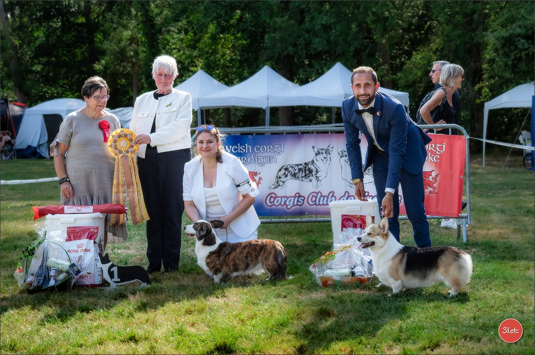 🇫🇷 Romorantin - Exposition Canine Nationale. Photographe à Strasbourg | Portraits, Studio, Enfants, Événements