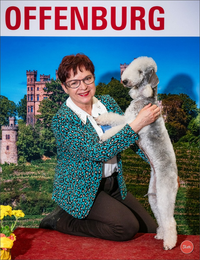 🇩🇪 Offenburg International Dogshow 15-16.03.25 🇩🇪. Photographe à Strasbourg | Portraits, Studio, Enfants, Événements