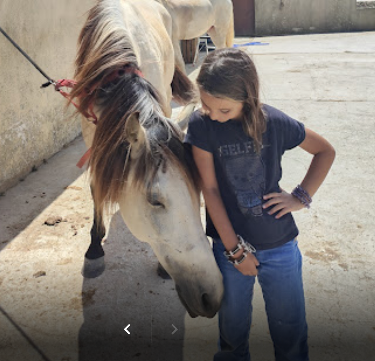 Eco Salgados Agroturismo | Opiniões. Passeios a Cavalo na Praia Peniche | Eco Salgados Agroturismo