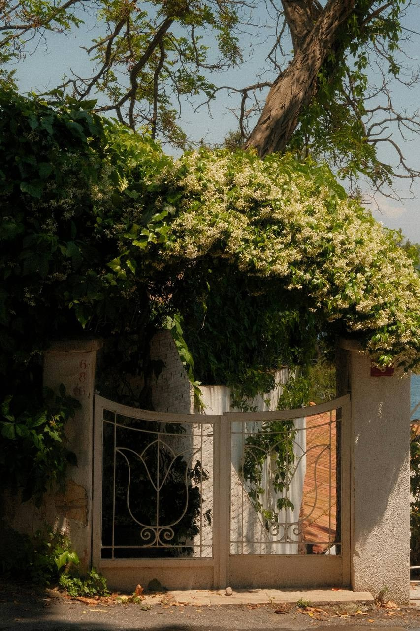 Выбор яхт: Istanbul