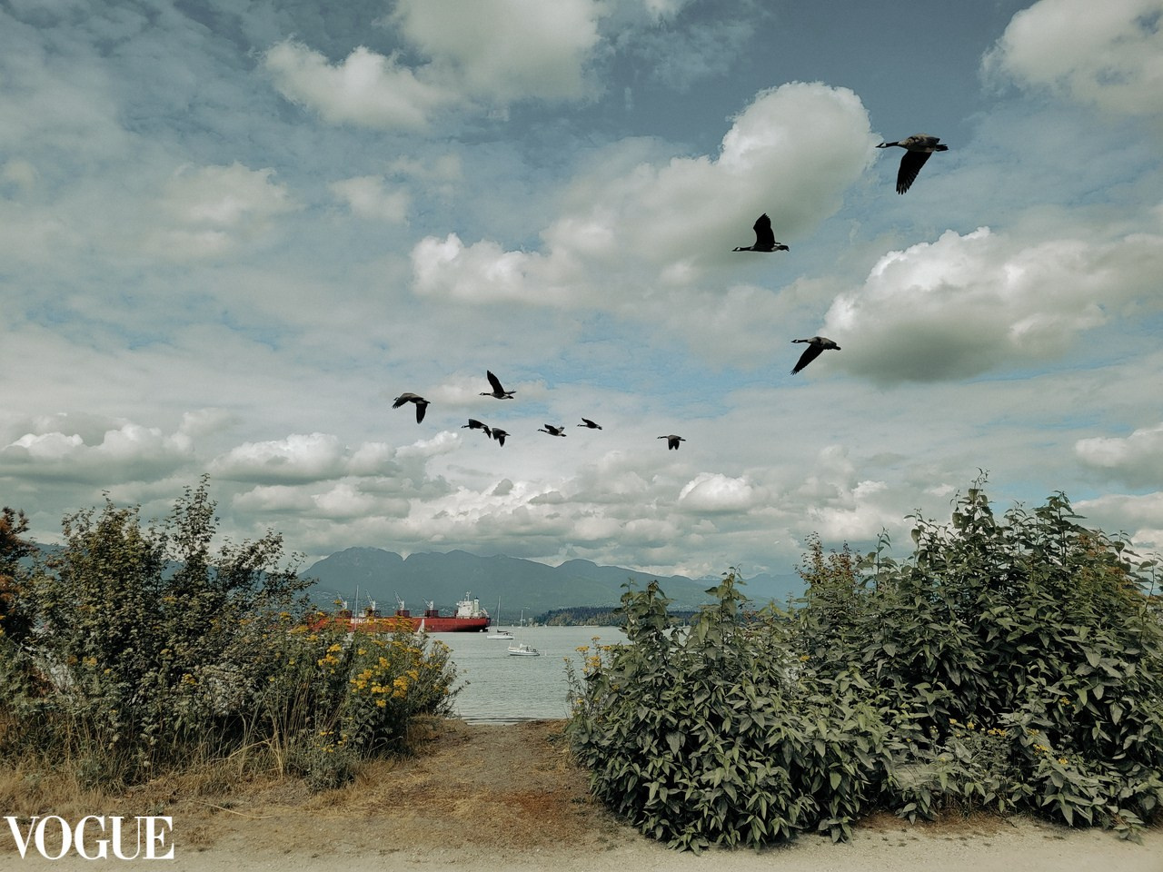 AWARDS. Yana Bobrova | Artistic Photography