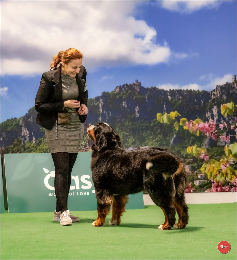Dog Show  🇮🇹  San Marino. Photographe à Strasbourg | Portraits, Studio, Enfants, Événements