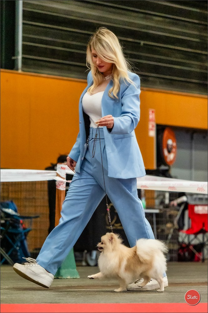 EXPOSITION CANINE NATIONALE ET INTERNATIONALE DE METZ (ACT LORRAINE) METZ (57) - 09 & 10/11/2024. Photographe à Strasbourg | Portraits, Studio, Enfants, Événements