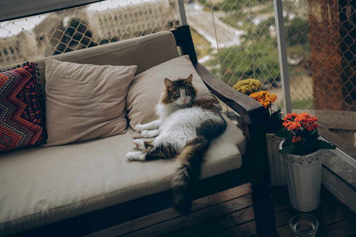 David’s Home Birth. Fotografa de família e crianças em Florianópolis SC Daria Ermolaev