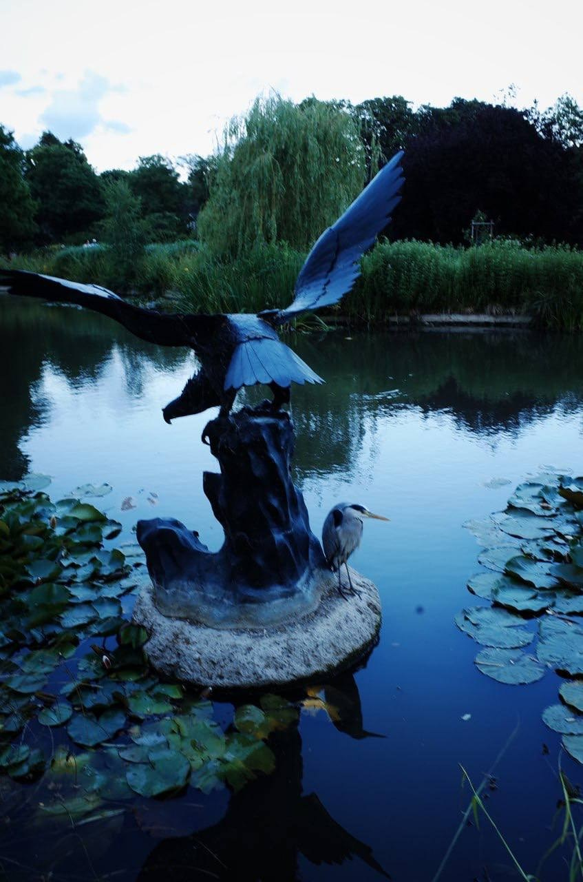 Viktoriia Road. Victoria Dini. Art photography in London / Folkestone, UK