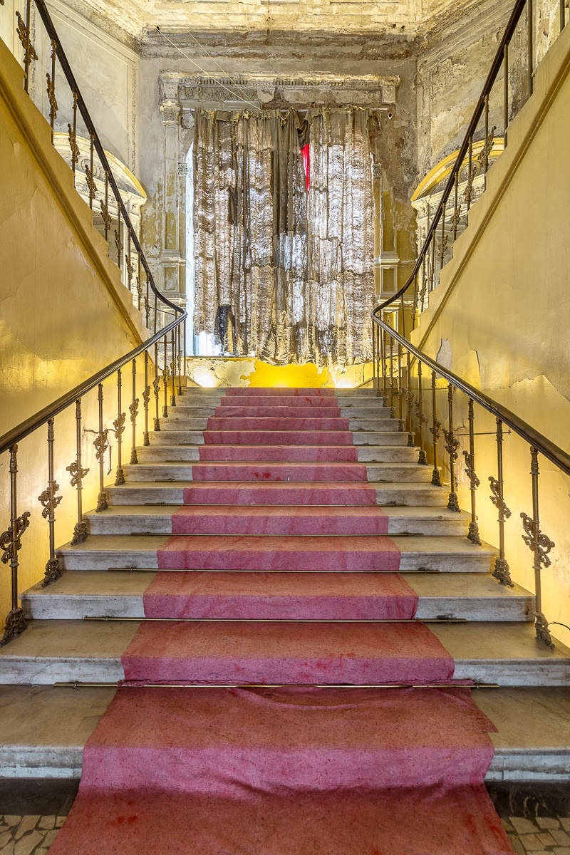 Pink carpet, 2021. Haim Sokol’s artists website