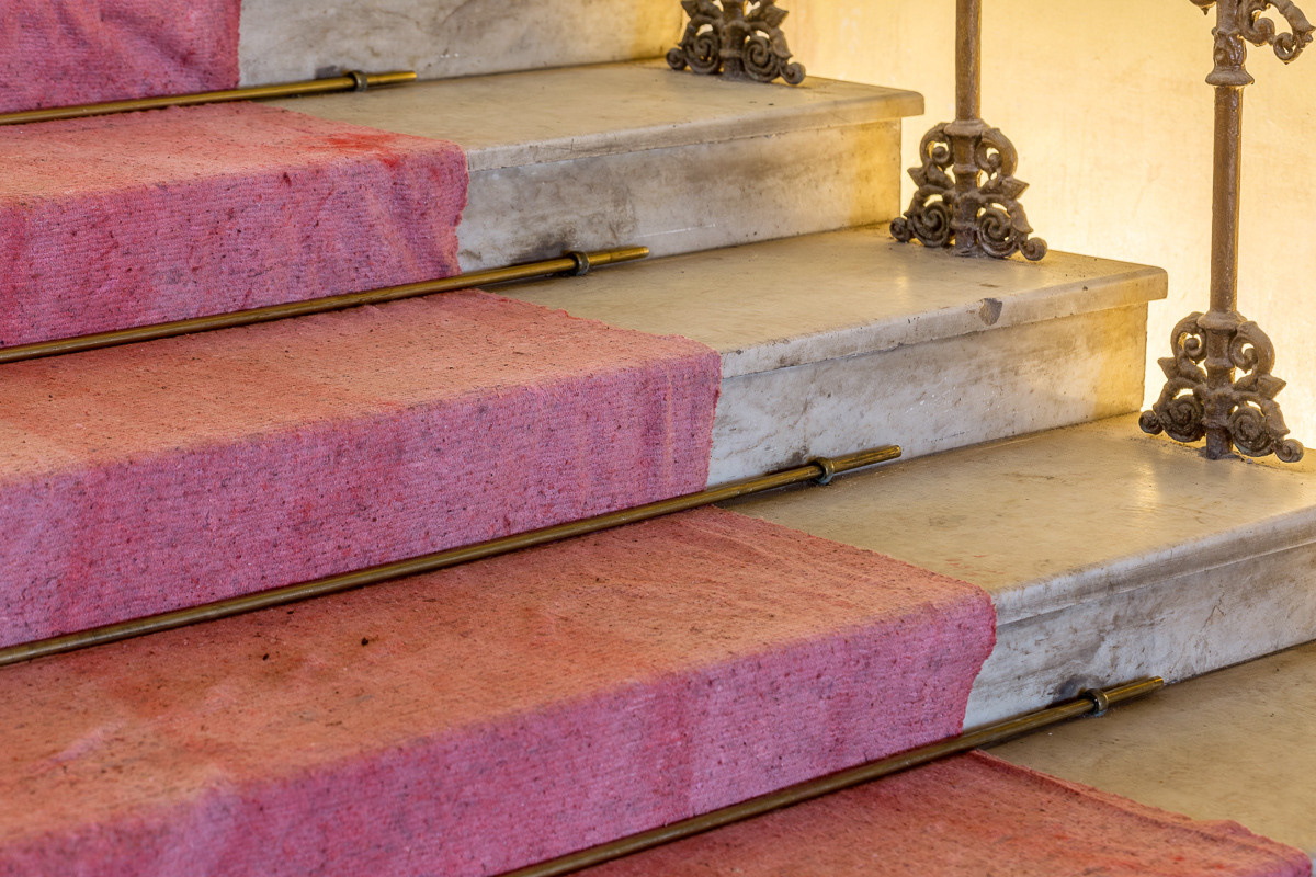 Pink carpet, 2021. Haim Sokol’s artists website