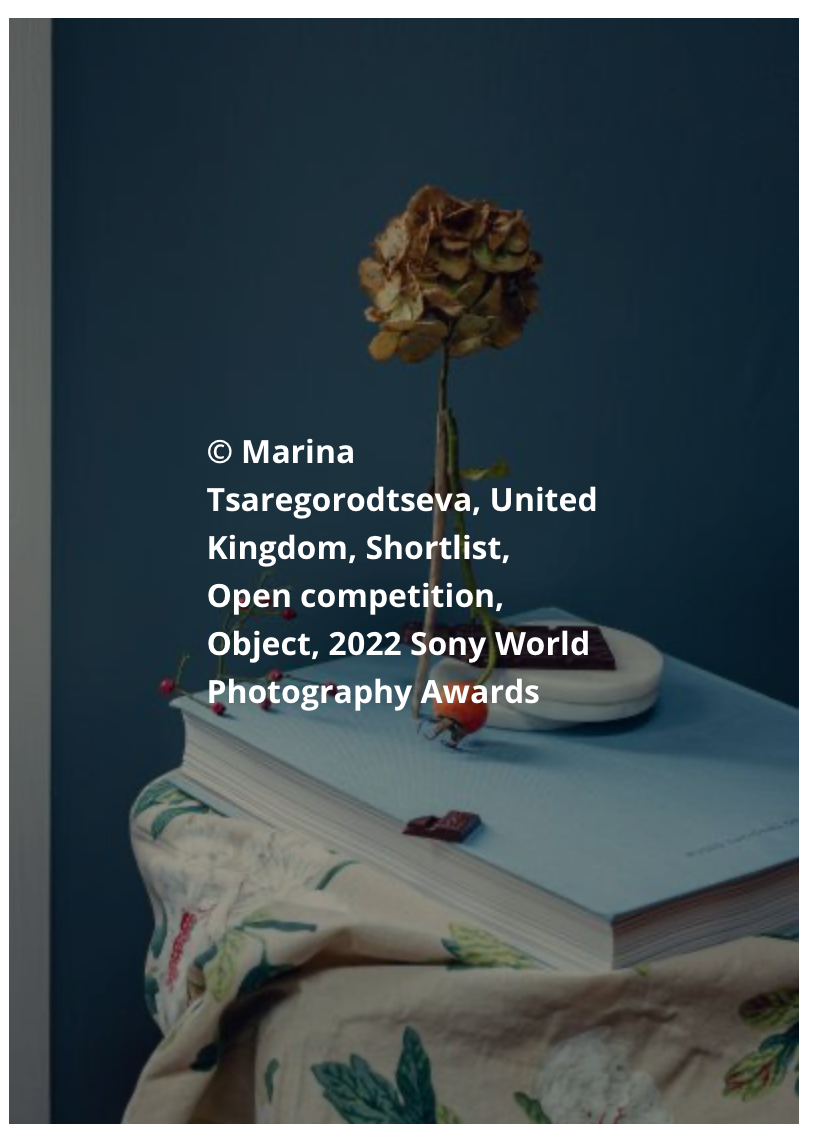 TIFA 2022- Tokyo International Photo Award. Marina Tsaregorodtseva Fine Art photographer, London