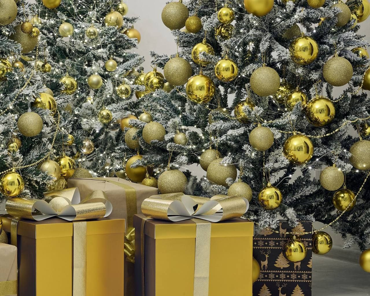 Новогодние съемки. Женский и семейный фотограф в Ташкенте