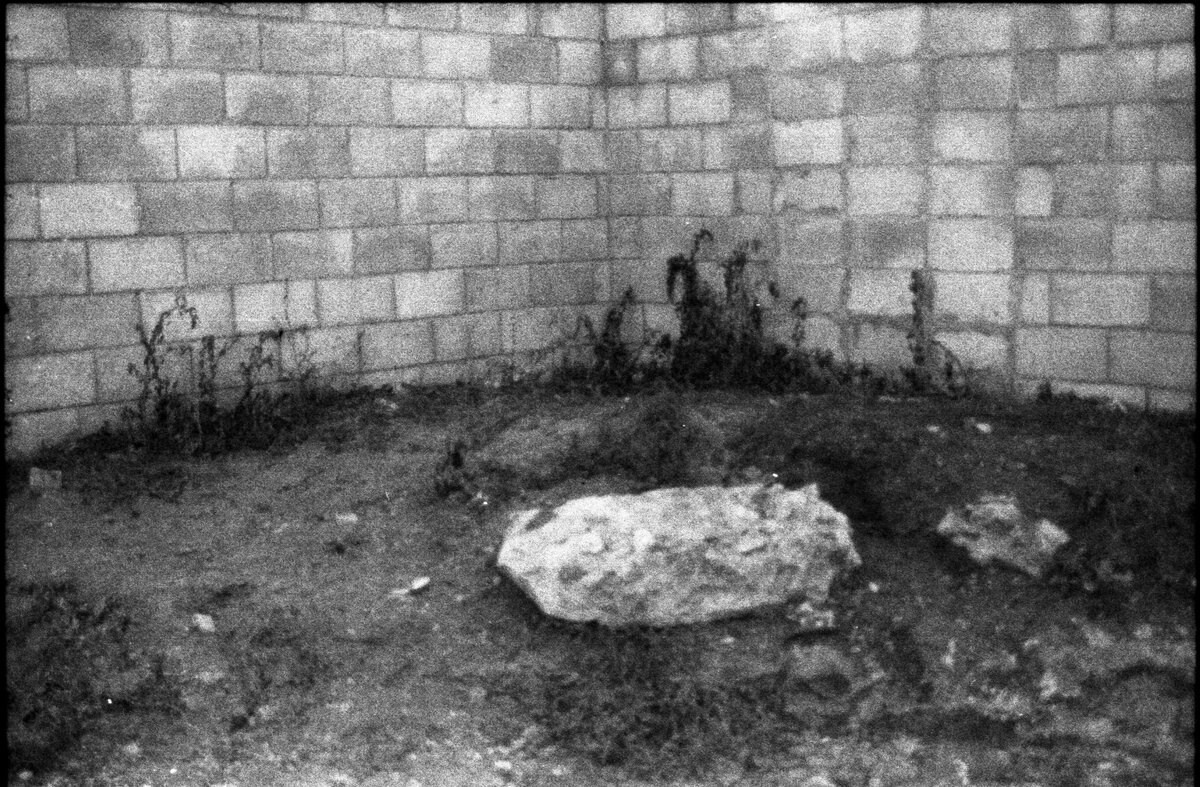 Garden of stones. Natalia Parfenova visual artist film photographer