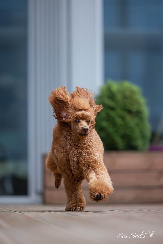 Pie and her girls. Eva Suits