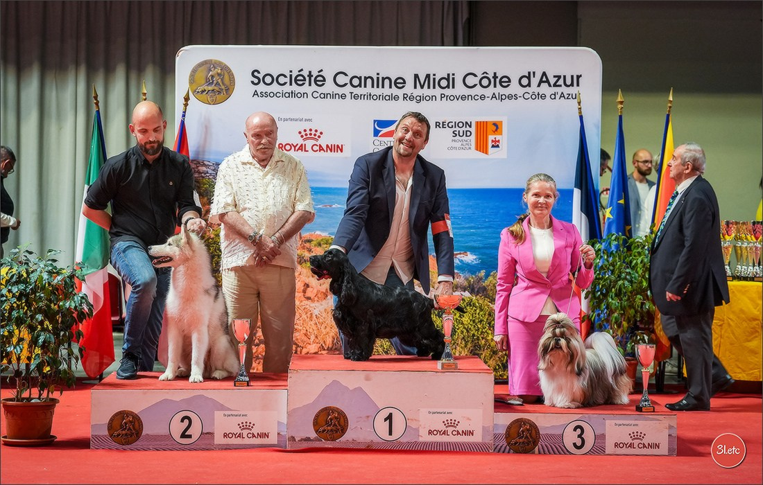 Expo canine 🇫🇷 Martigues 18-19/04/2026
