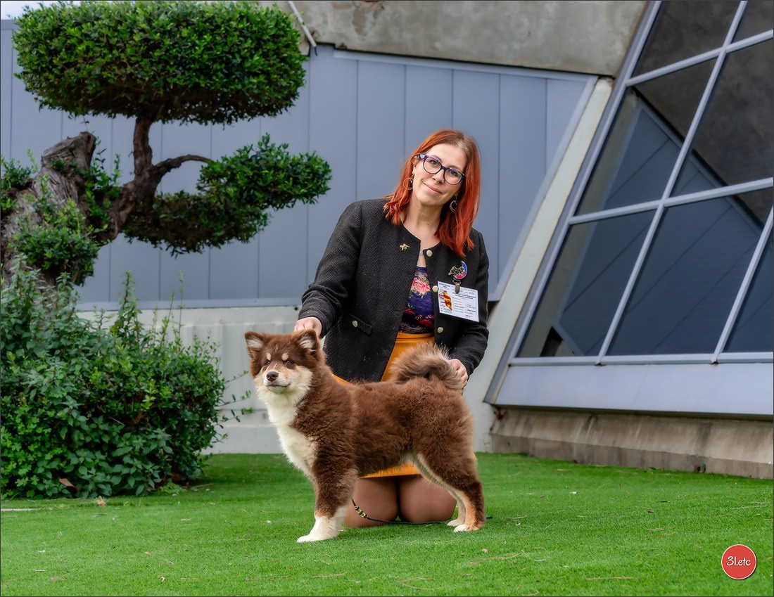 🇫🇷  Perpignan Dog Show  🇫🇷  Expo canine  17-18/01/2026. Photographe à Strasbourg | Portraits, Studio, Enfants, Événements