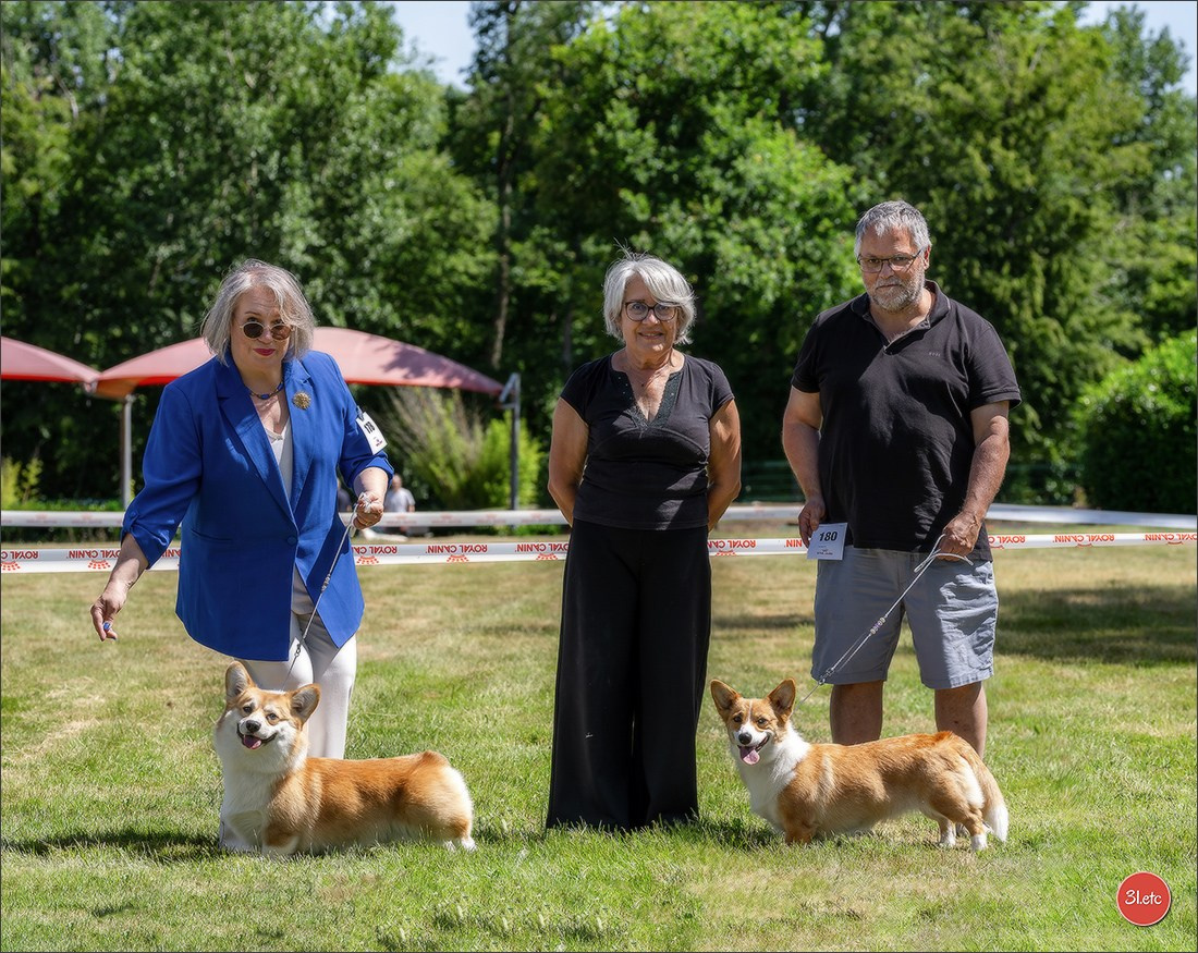 🇫🇷  CHARTRES  🇫🇷  2026  🇫🇷  Exposition Canine Nationale - Château des Boulard