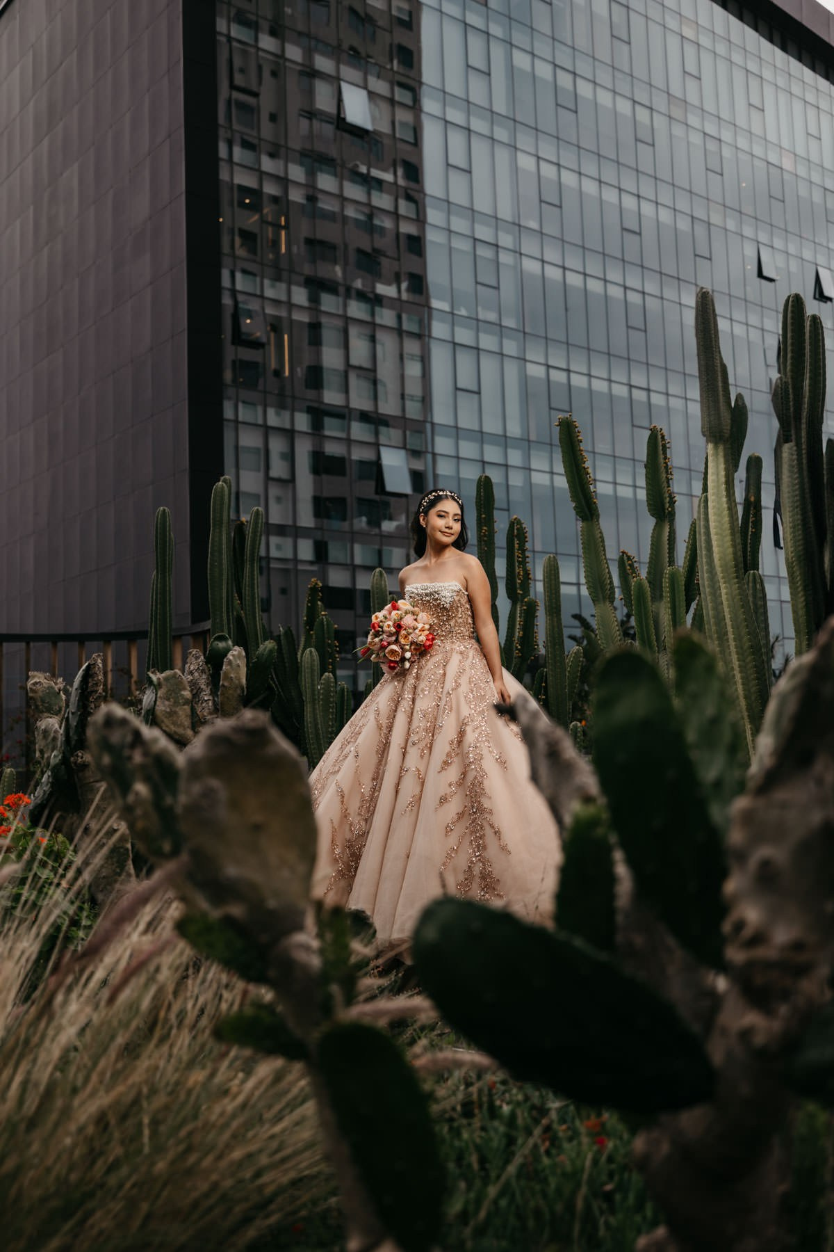 XV. Estudio de fotografia en Tijuana