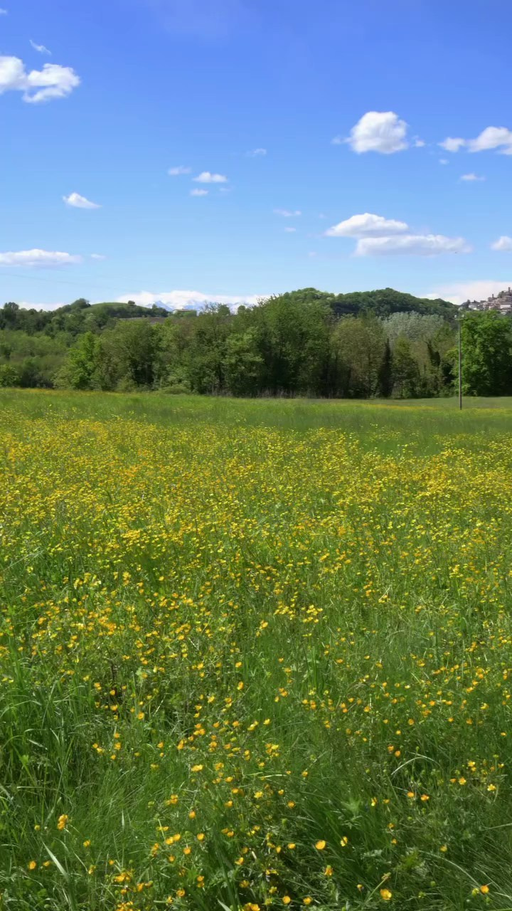 SERVIZIO FOTOGRAFICO PER UNA FOOD BLOGGER LIBANESE AL CASTELLO DI MONTALERO ALBA