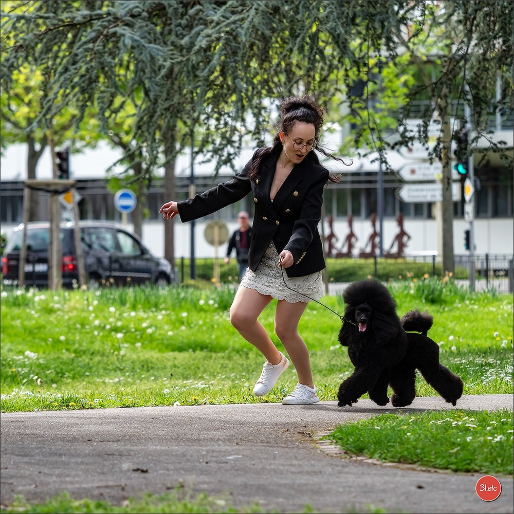 Expositions canines des 6 & 7 avril 2024 NDS Mulhouse, France. Photographe à Strasbourg | Portraits, Studio, Enfants, Événements