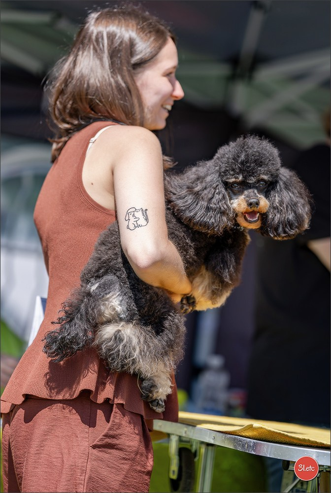 Dog Show - Hallbergmoos 🇩🇪 11-12/07/2026