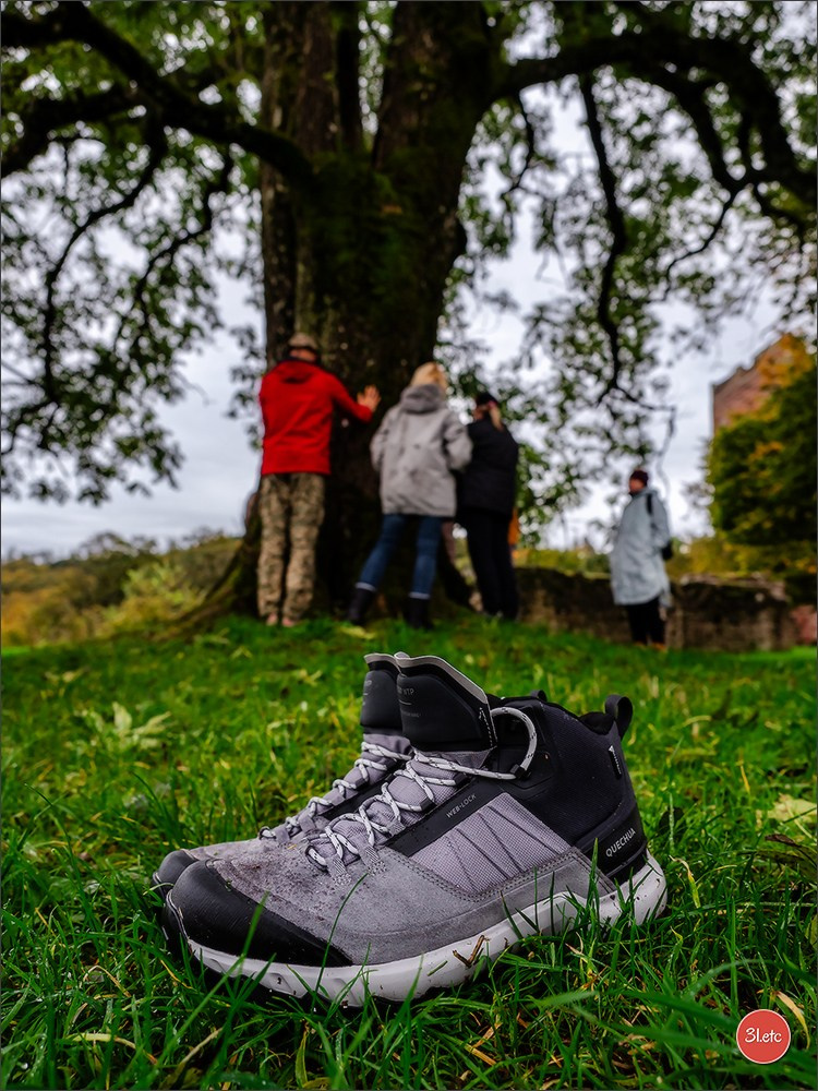 Ретрит в Эльзасе с Марией Ланг. Photographe à Strasbourg | Portraits, Studio, Enfants, Événements