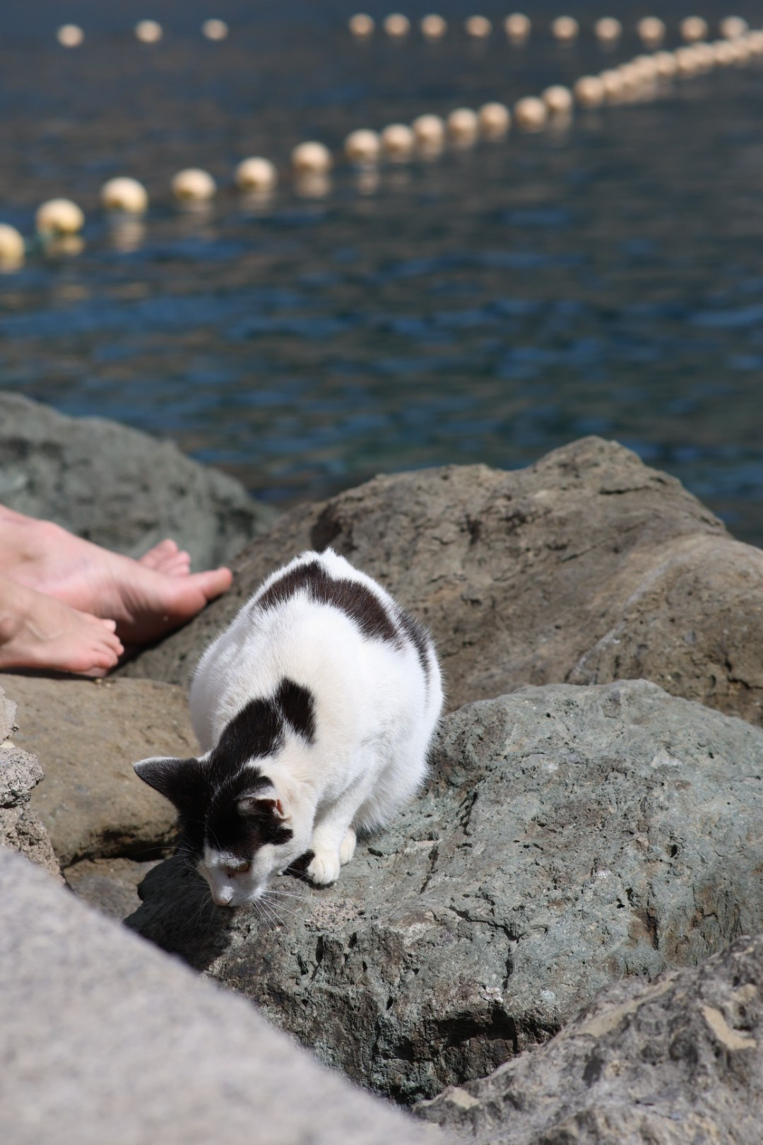 Gran Canaria 2024. Марина фотограф из Нюрнберга