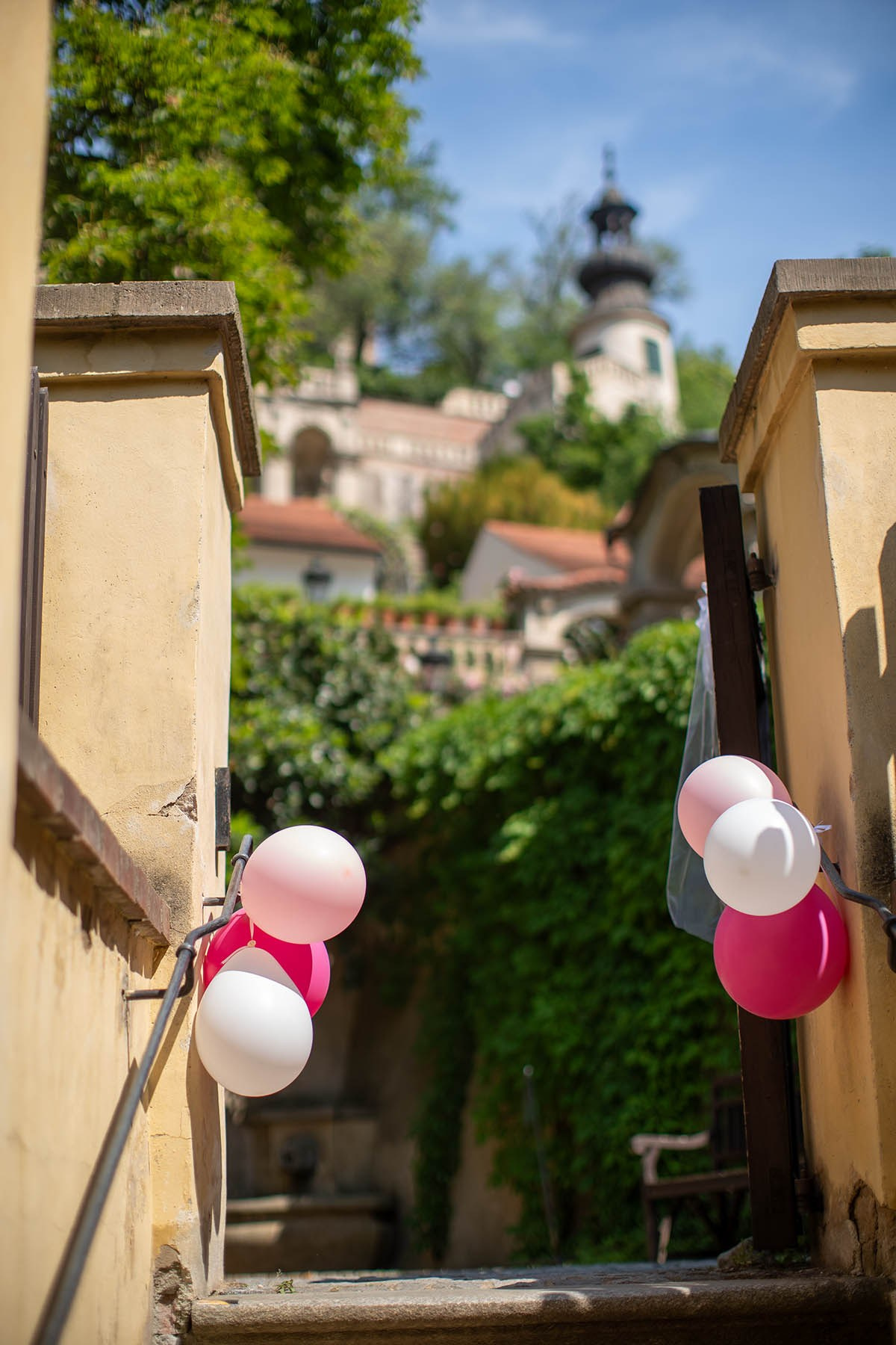Adela & Matthias Wedding At The Historic Ledebour Garden