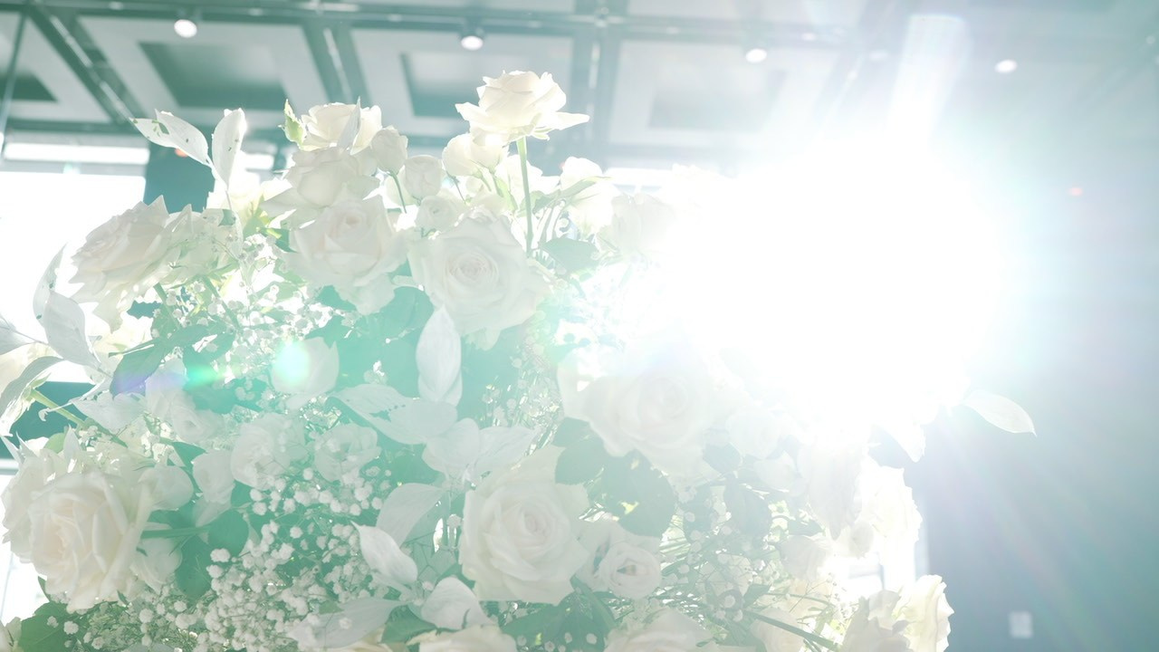 VIA / BASICO. Wedding and events photographers Studio Shalom