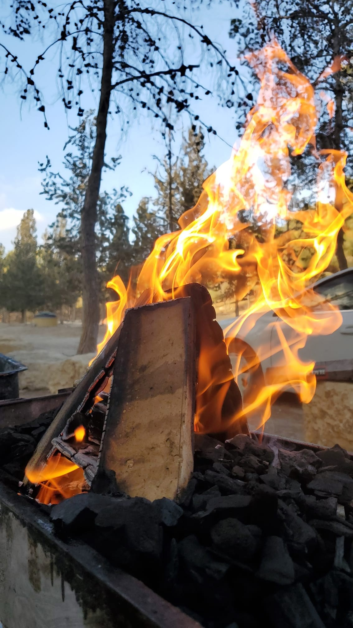 Детский поход 2023 — клуб Нортман | реконструкция, игры, приключения. КРиС «Нортман»