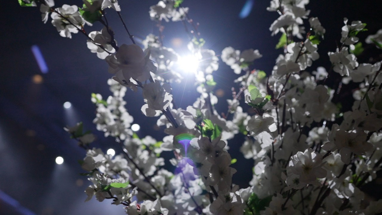 VIA / BASICO. Wedding and events photographers Studio Shalom