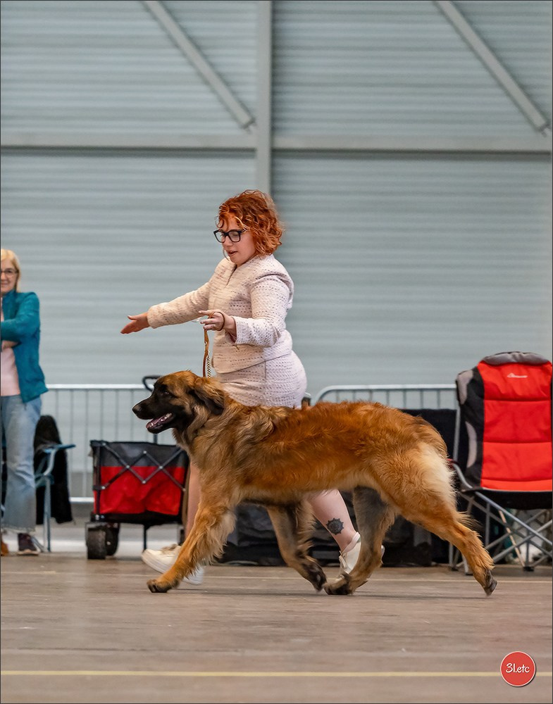 Photographie animalière. Photographe à Strasbourg | Portraits, Studio, Enfants, Événements