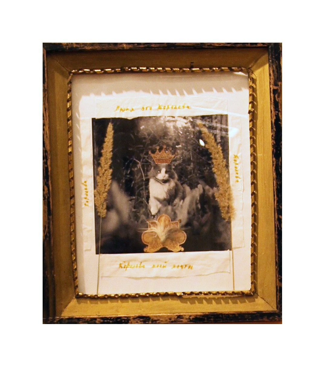 Cat Caravan. Natalia Parfenova visual artist film photographer