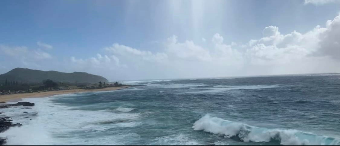 Lens Work From Field  1