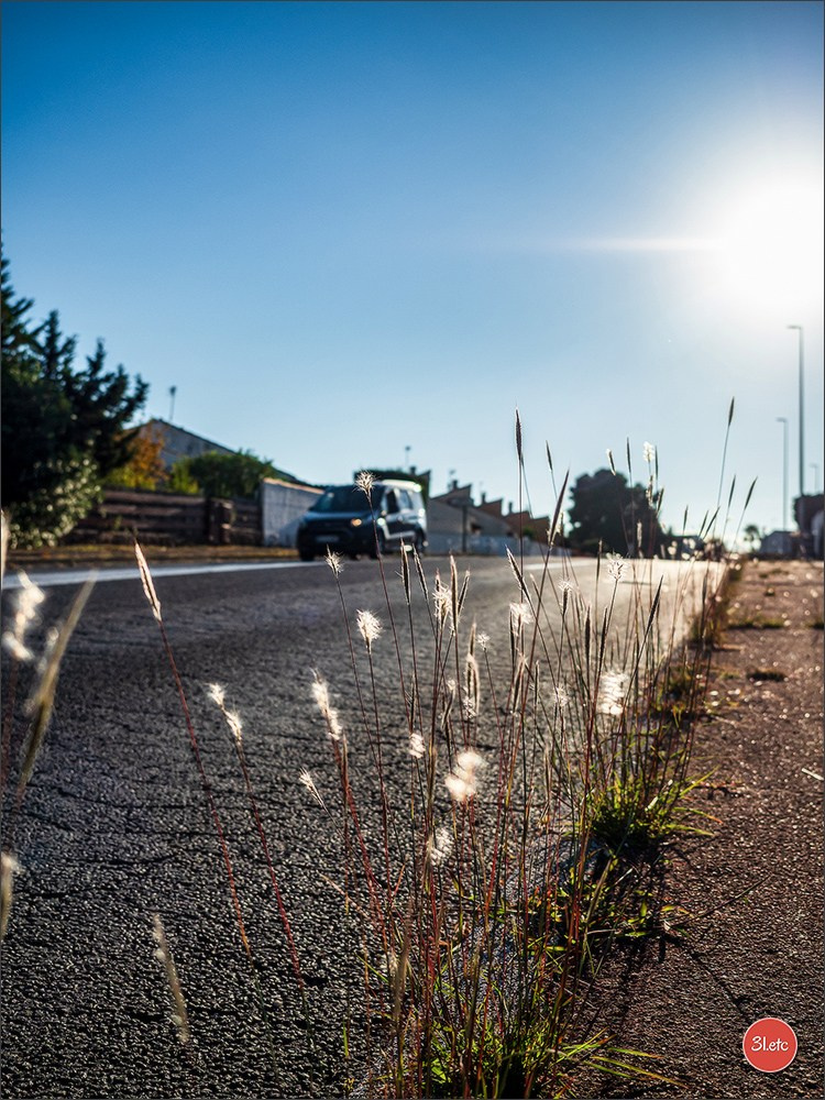 Beziers 🇫🇷. Photographe à Strasbourg | Portraits, Studio, Enfants, Événements