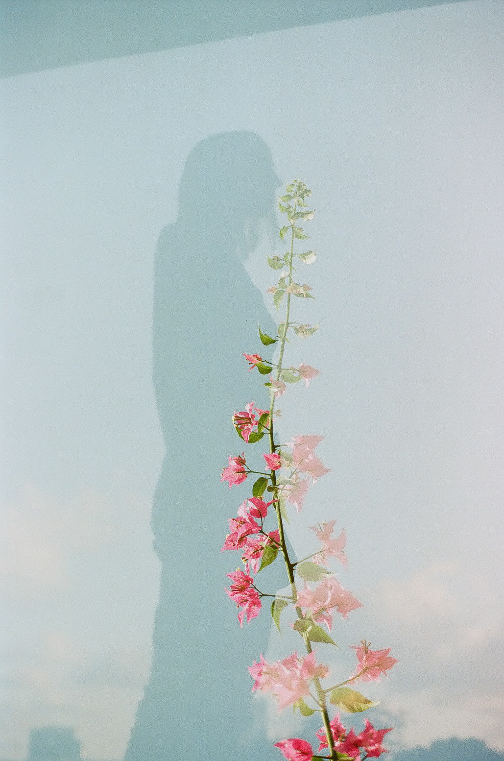 Регина. Film photographer