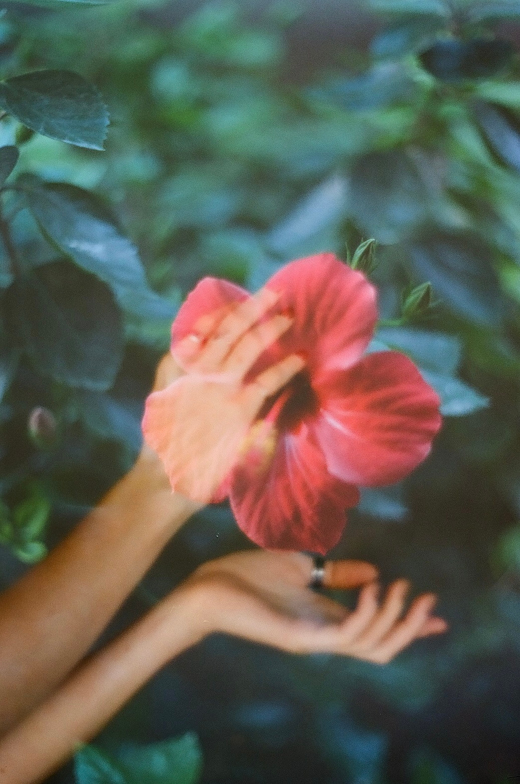 Ксюша. Film portrait photographer