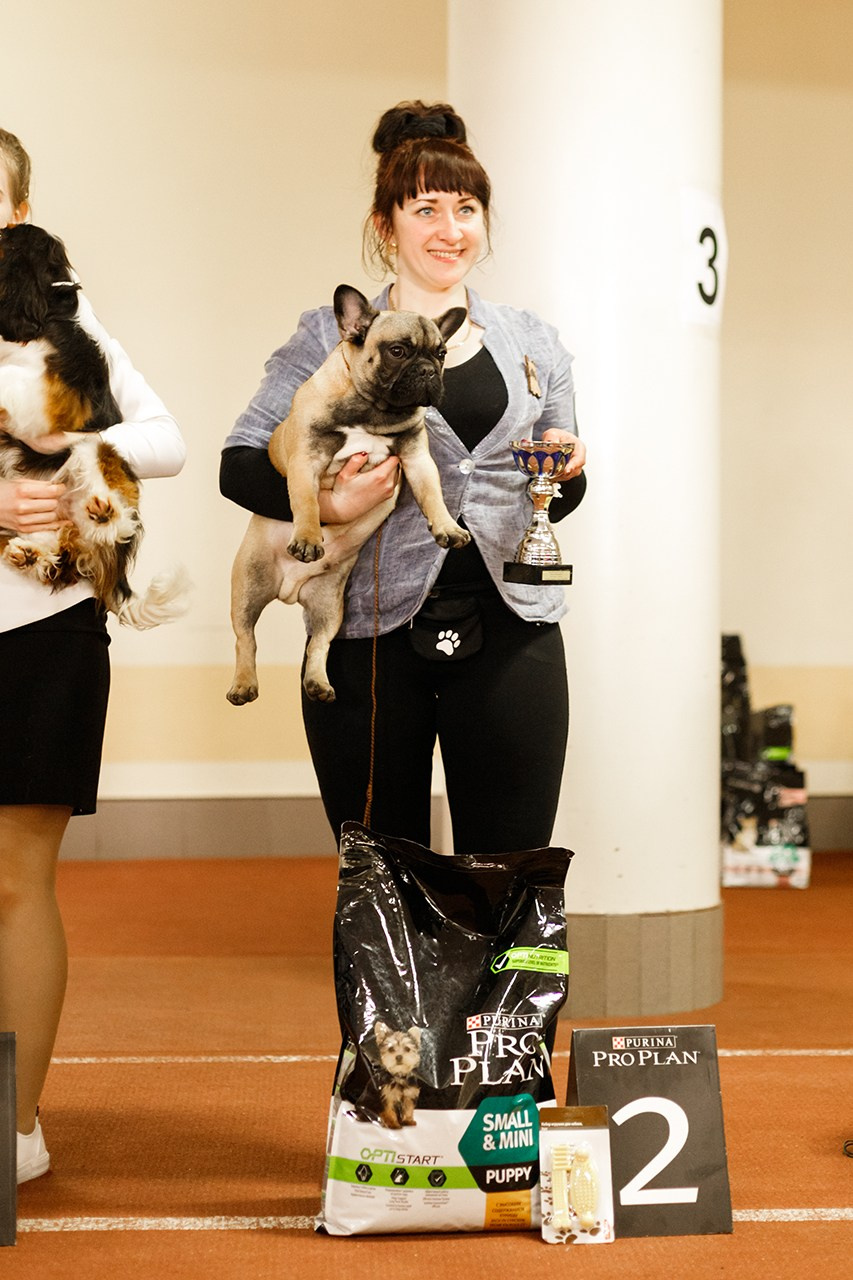 Grodno dog show. Kaja | fotograf we Wrocławiu | ludzie i psy