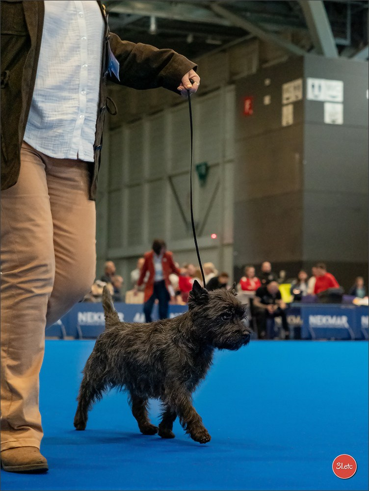 🇨🇭 Geneva 03-05.10.2025 🇨🇭. Photographe à Strasbourg | Portraits, Studio, Enfants, Événements