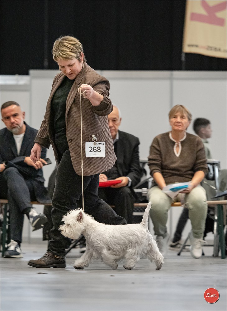 🇨🇭 Geneva 03-05.10.2025 🇨🇭. Photographe à Strasbourg | Portraits, Studio, Enfants, Événements