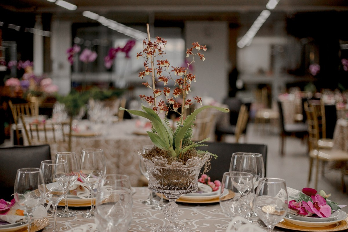 Waldeana - 70 anos. Fotógrafa de Eventos em São Paulo e Sorocaba Kika Damasceno